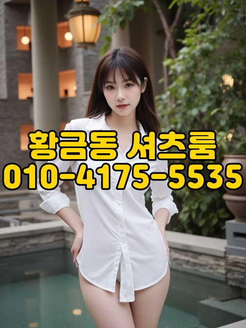 황금동셔츠룸